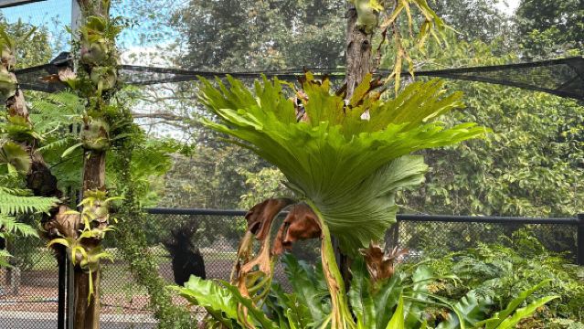 ทัวร์โรงไฟฟ้าเก่าบริสเบน + สะพานสตอรี่ + วิหารเซนต์จอห์น + สวนพฤกษศาสตร์ ทัวร์วันเดียว/ทัวร์หลายวัน บริการภาษาอังกฤษ