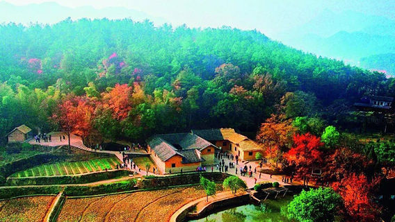 韶山日遊