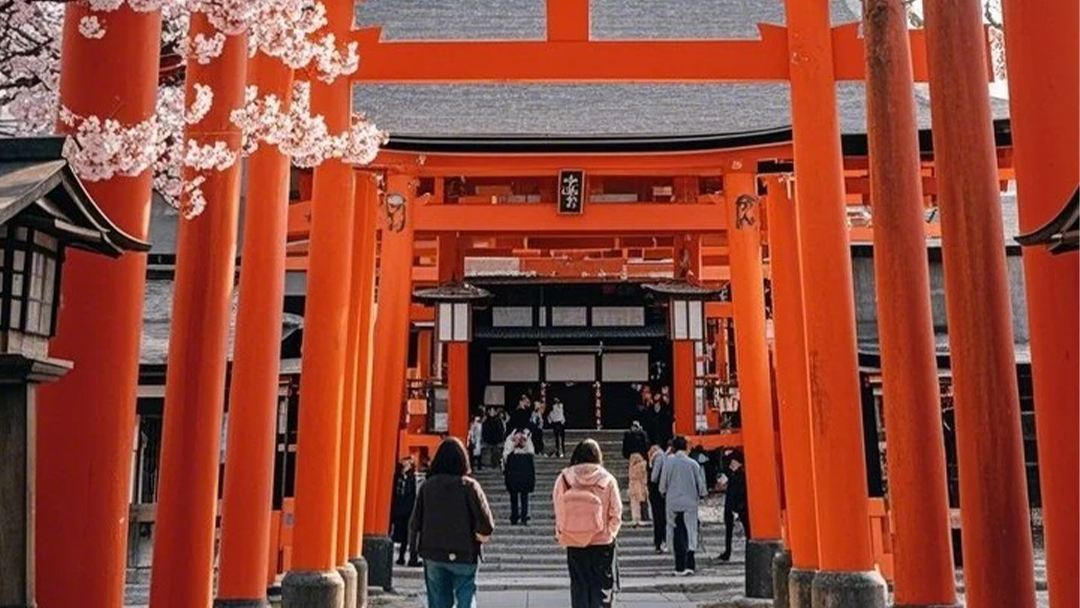 日本京都の古い建物＋奈良公園の子鹿＋伏見稲荷大社ワンデーツアー