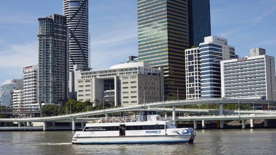 Lone Pine Koala Sanctuary: Entry Ticket + River Cruise from Brisbane