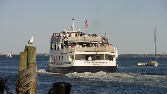 BostonExperiences