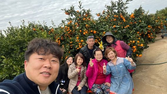 JejuTours