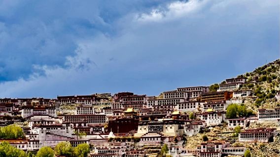 【西藏拉薩·藏文化體驗】布達拉宮+羅布林卡+八廓街+甘丹寺