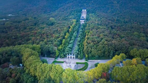 中山陵景區+音樂台+陵園路+美齡宮半日遊丨含門票+18人小團