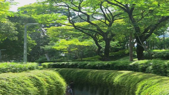 新加坡日遊