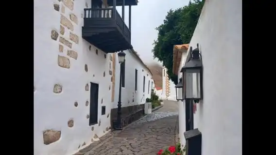 Fuerteventura: Guided Hotspot & Sightseeing Tour max.8people