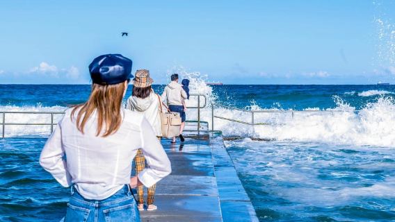 Sydney: Sea Cliff Bridge, Kiama Blowhole and Farmlands Tour