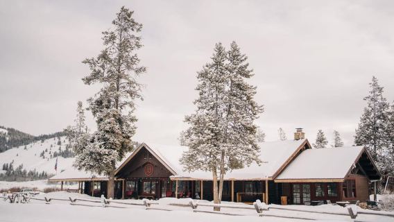Jackson Hole: Tour in motoslitta nel Bridger-Teton