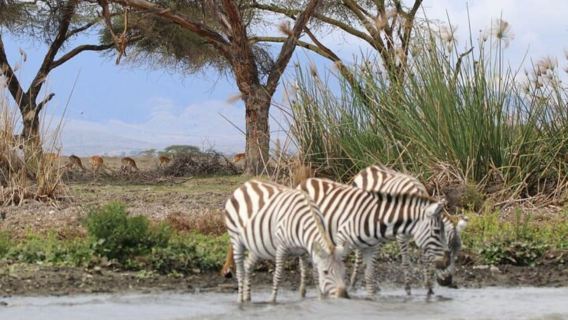 Nairobi:Group Hell's Gate National Park & Lake Naivasha Tour