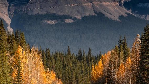 加拿大班夫小鎮+硫磺山+驚喜角+強斯頓峽谷【包車/可制定】