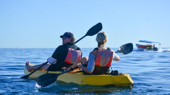 Los Cabos: Tour en kayak con fondo de cristal y snorkel en Two Bays