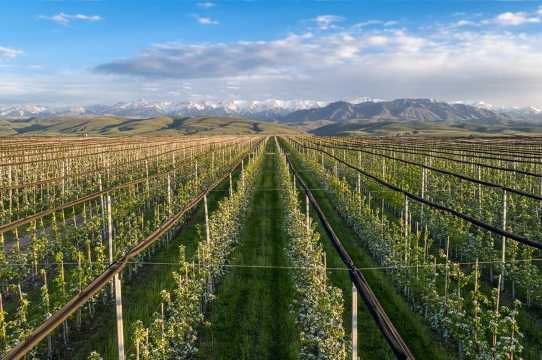 Hồ Almaty lớn và Vườn táo Almaty huyền thoại