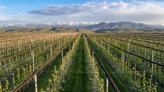 Gran lago de Almaty y legendario huerto de manzanas de Almaty