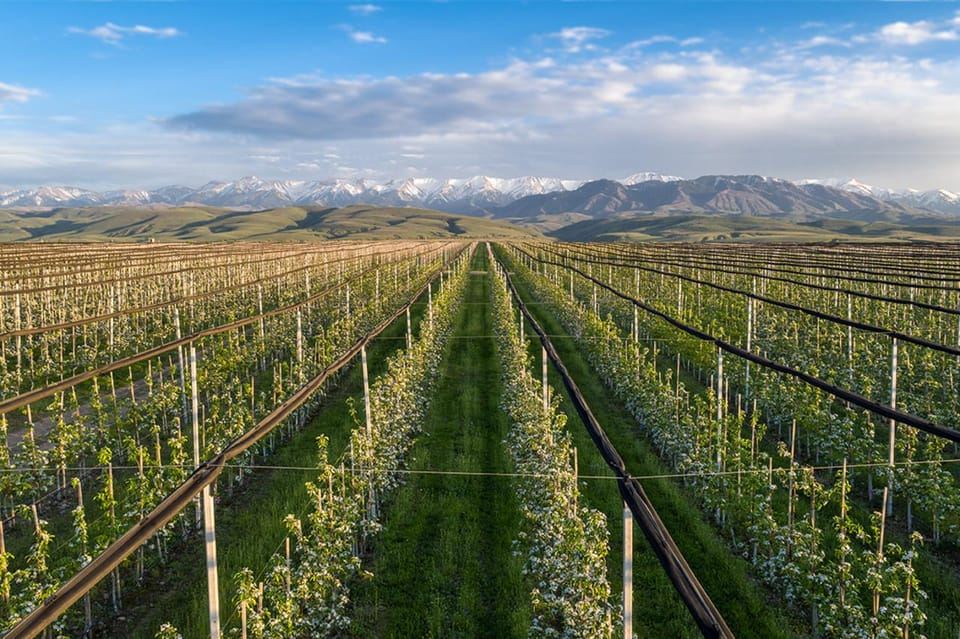Il grande lago di Almaty e il leggendario frutteto di mele di Almaty