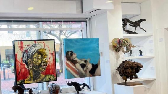 Cape Town: Half Day Cape Town Local Art Experience