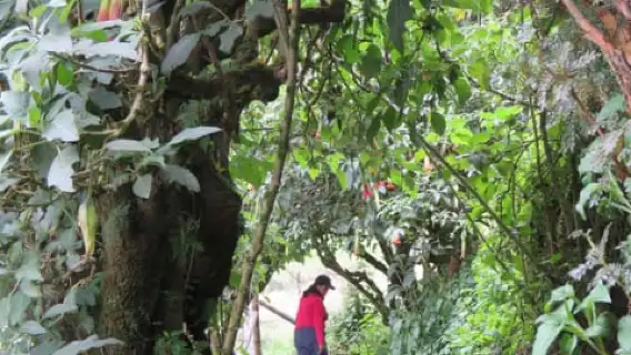 กีโต: ทริปเต็มวันไปยังบ่อน้ำพุร้อนปาปาลัคตาและบริเวณโดยรอบ