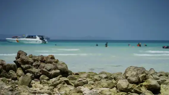 芭達雅島嶼之旅含印度午餐，彈性接送時間