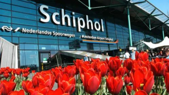 Tour di un giorno a Rotterdam, Delft e L'Aia (gruppo in inglese con audioguida in cinese)