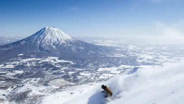 【櫻花之旅】北海道機場接送服務  四選一服務