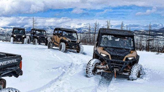 Woodland Park: 2 Hour Guided Rocky Mountain UTV Tour