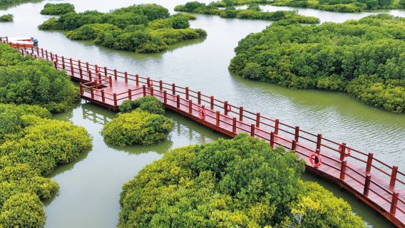 廣東一日遊|你好，湛江【包車8小時】