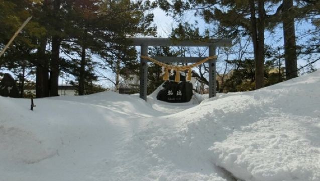 日本北海道+登別熊牧場+洞爺湖一日遊/行程可調-可訂製