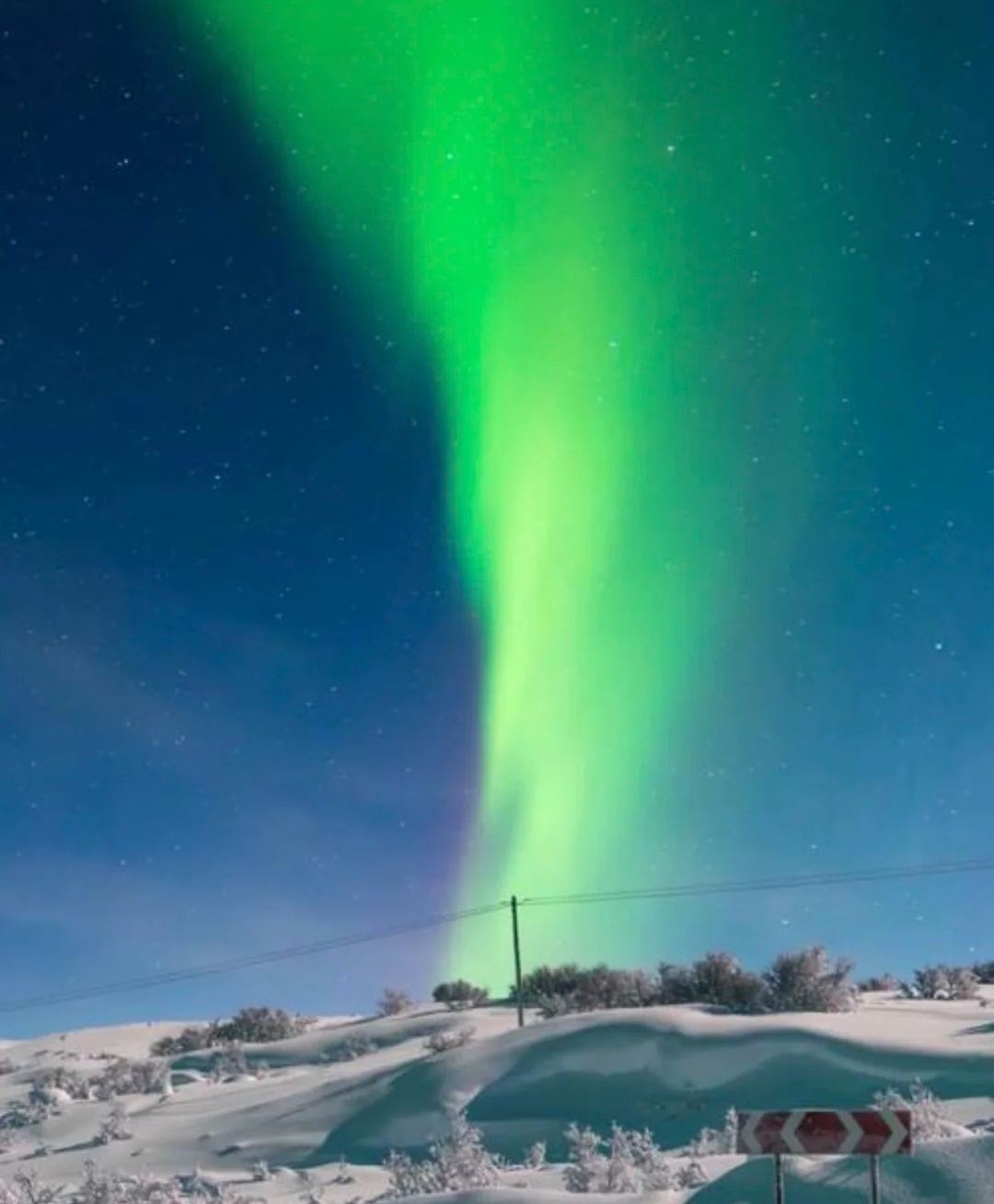 Round-trip from Murmansk to Sami Village - Sami Culture - Aurora Viewing/Private Charter - Top Pick