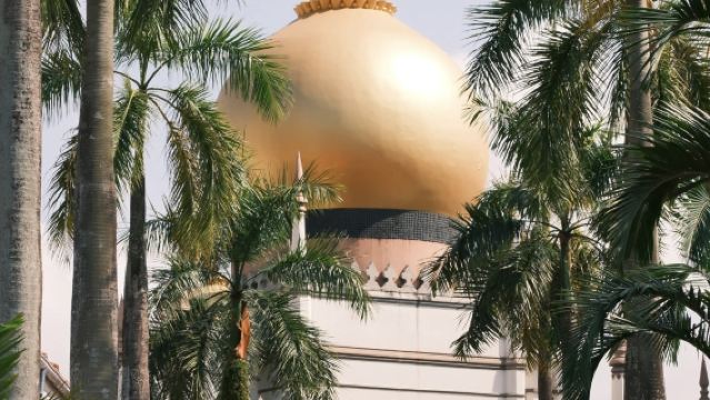 新加坡文化包車｜魚尾獅+藝術科學博物館+蘇丹回教堂