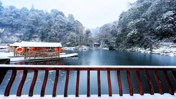 四川成都臥龍中華大熊貓苑神樹坪基地+都江堰青城道溫泉包車遊