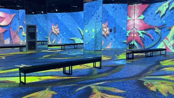 Zhengzhou Van Gogh Starry Sky Art Museum (4D light show + mirror maze + sunflower field)