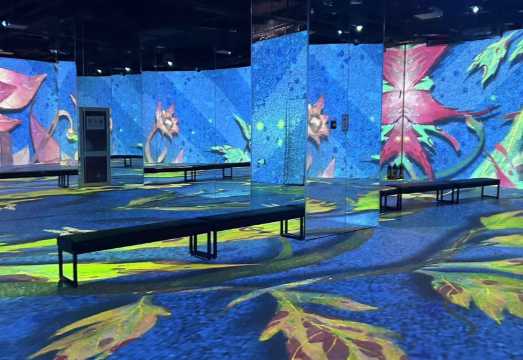 Qingdao Van Gogh Starry Night Art Museum Admission Ticket (Technology-Enhanced Van Gogh Classics + Immersive 4D Light Show + Mirror Maze +...