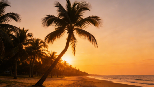 Гастрономический фестиваль морепродуктов + прогулка по побережью + Первый рынок Санья - маршрут "Пальмовая аллея мечты"