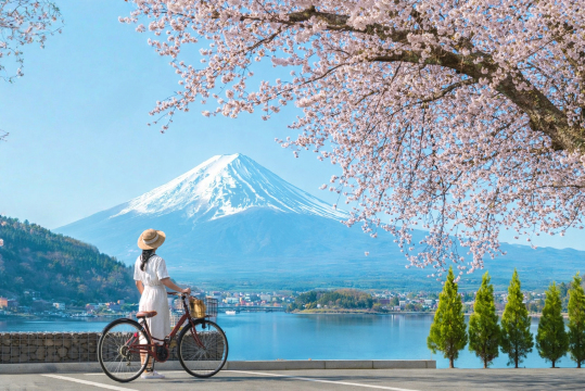 富士山櫻花一日遊河口湖 • 山中湖村 • Lawson • 日川時計店