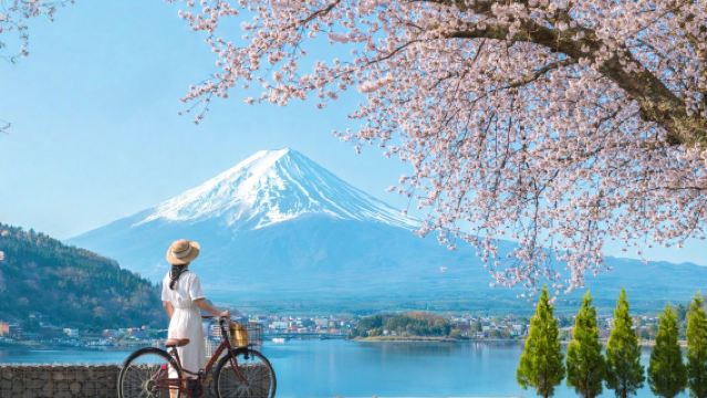 ทัวร์วันเดียวดอกซากุระภูเขาฟูจิ คาวากุจิโกะ • ยามานากะโกะ • ลอว์สัน • ร้านนาฬิกาฮิกาวะ