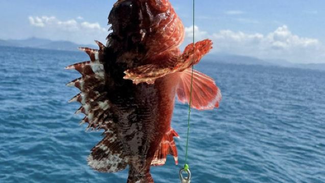 【舟山海釣包船】舟山專業釣魚艇包船拼船出海海釣～豪華船出海