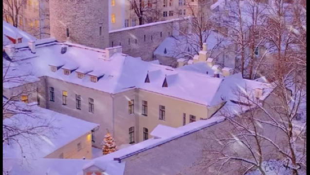 Dewan Bandaraya Tallinn + Pemandangan Bukit Toompea + Taman Kadriorg + Menara Televisyen Tallinn