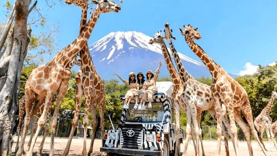 1-day family-friendly summer tour to Mount Fuji with close animal encounters from Tokyo - Oshino Hakkai + Oishi Park