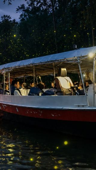 KL City, Batu Caves & Fireflies 3 in 1 Combo Tour - Private Tour Option