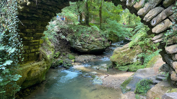 Kawasan teras Mullerthal Luxembourg + Gua HuelLee lawatan sehari - Pilihan terbaik