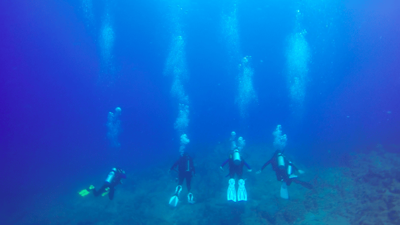 Cabo San Lucas: Beginners Diving Experience w/ Water & Snack