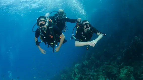 クート島：初めてのスキューバダイビングを発見