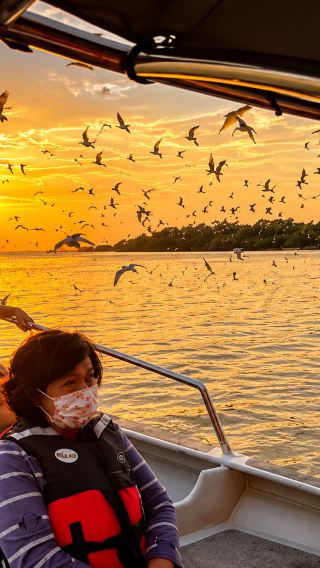 Kuala Selangor Fireflies & Eagle Feeding Evening Tour