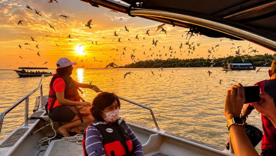Visite nocturne des lucioles et nourrissage des aigles à Kuala Selangor