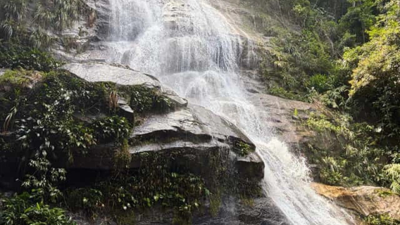 Foresta Urbana di Tijuca a Rio: cascate, grotte e fauna selvatica | Escursione guidata di 4 ore