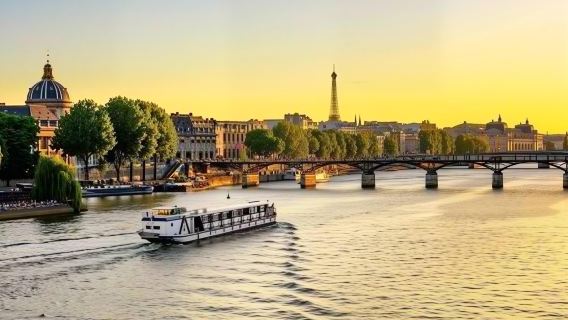 Paris - Muzium Louvre + Muzium Picasso + Taman Tuileries - sewaan peribadi tersuai nikmati keselesaan peribadi