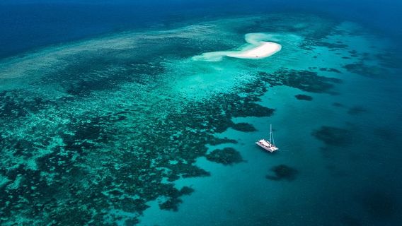 Port DouglasTours