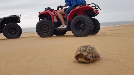 EssaouiraTours