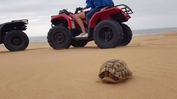 EssaouiraTours