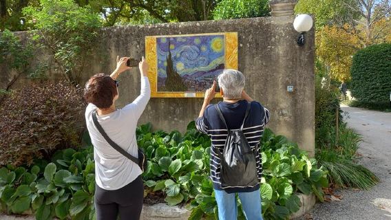 one-day tour to Saint-Remy-de-Provence and Arles, France|Provence and Van Gogh Theme Tour|Small group