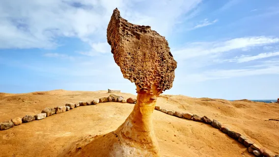 perjalanan satu hari ke Jiufen Old Street , Jalan Tua Shifen, dan Geopark Yehliu [Tur Pribadi | Penjemputan Hotel]